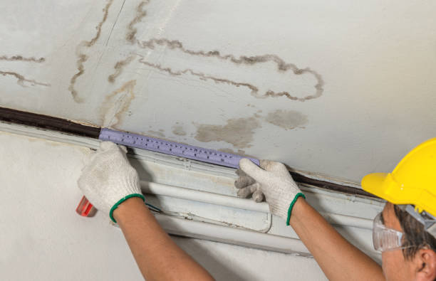 Reliable Flood Cleanup contractor in Thorndale, TX by Water Damage Irwin